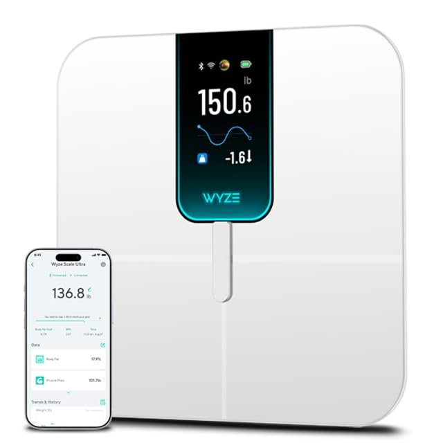 Smart body fat scale